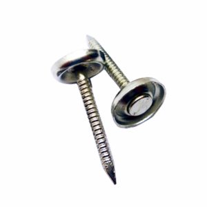 Threaded Nails (For use with Spring Washer)